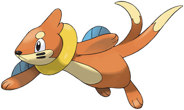 Buizel Pictures