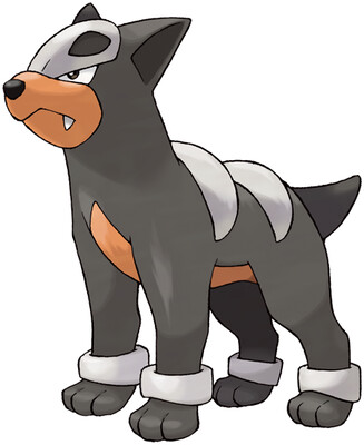 houndour.jpg