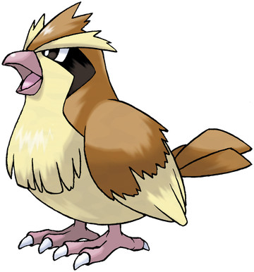 Evolution Of Pidgey