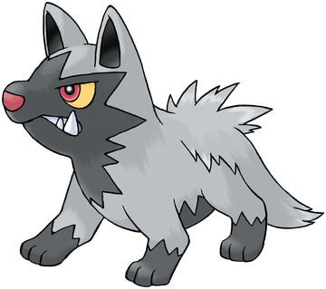 pokemon poochyena