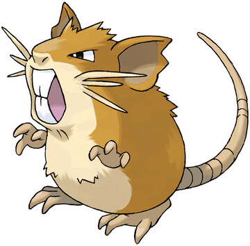 Raticate artwork by Ken Sugimori