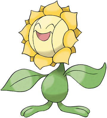 sunflora.jpg