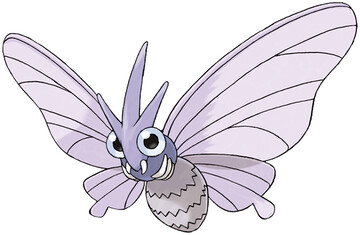 Moth Pokemon