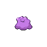 [Image: ditto.png]