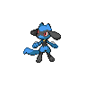 Área de Captura de Raypuro... Riolu