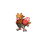 Spearow