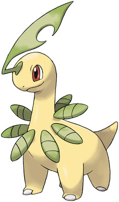 Bayleef Pokédex: stats, moves, evolution & locations | Pokémon Database