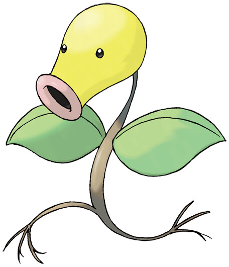 Bellsprout Pokédex Stats Moves Evolution Locations