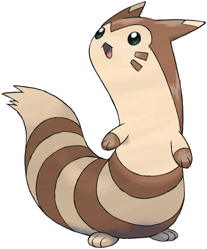 furret actual size