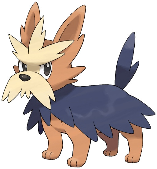 Herdier Pok dex Stats Moves Evolution Locations Pok mon Database Herdier Pok dex Stats Moves Evolution Locations Pok mon Database