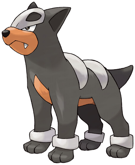 Houndour Pokédex: stats, moves, evolution & locations