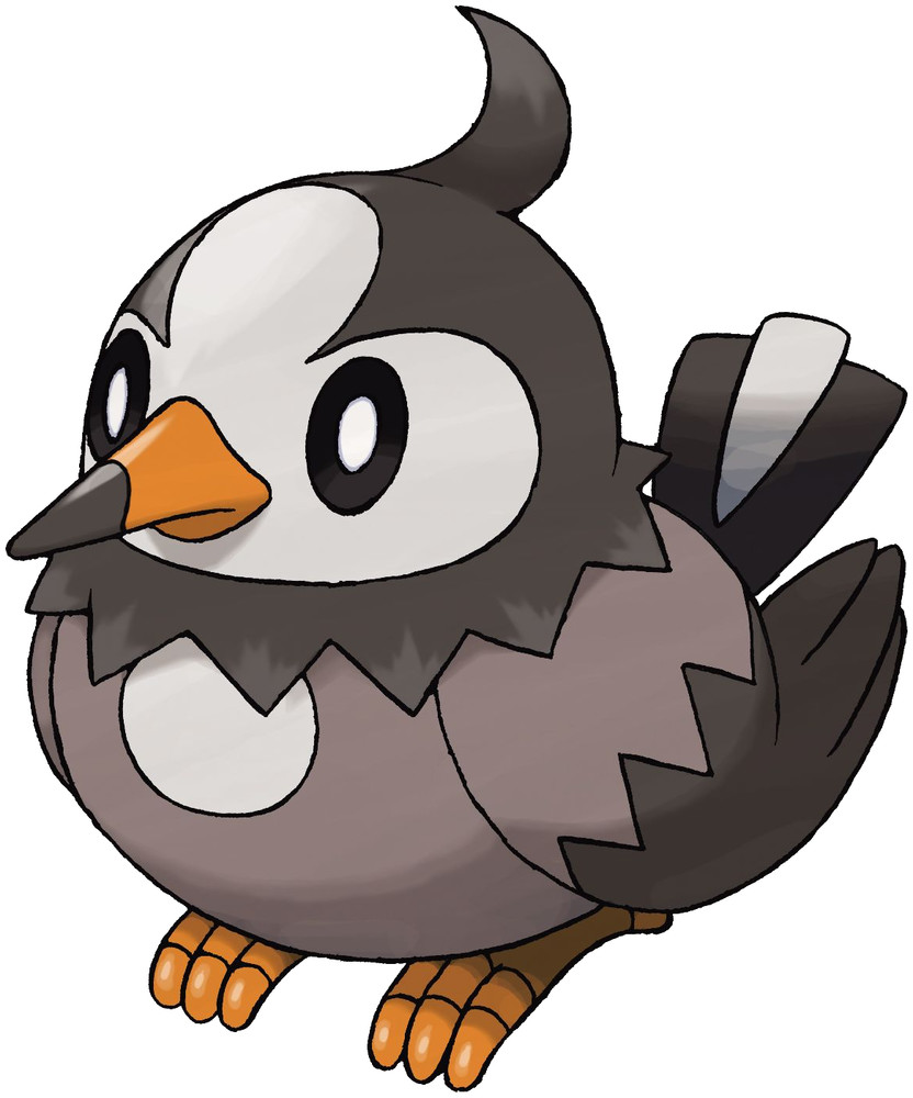 Starly Pokédex: stats, moves, evolution & locations | Pokémon Database