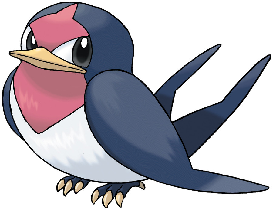 Taillow Pokédex: stats, moves, evolution & locations | Pokémon Database