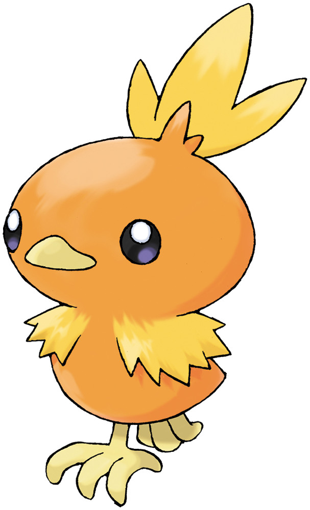 torchic.jpg