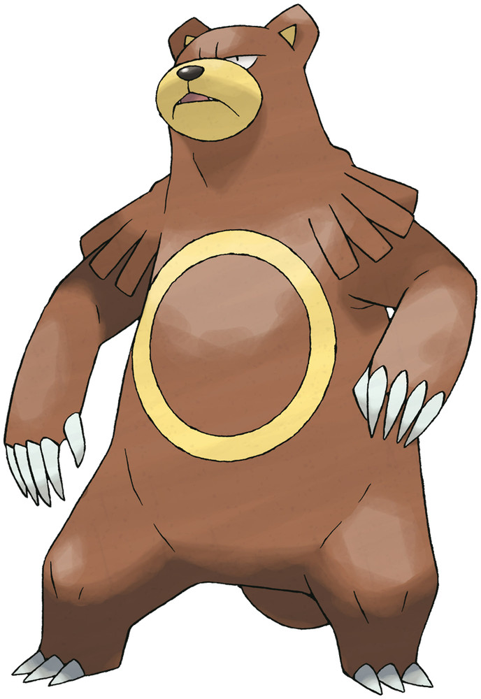 baby bear pokemon