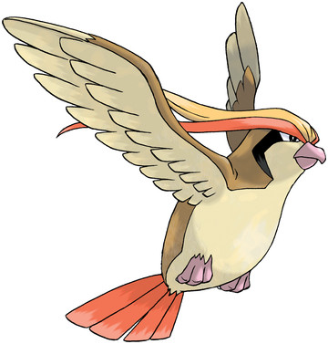 Pidgeot Sugimori artwork