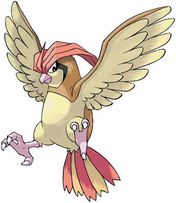 Pidgeotto Sugimori artwork