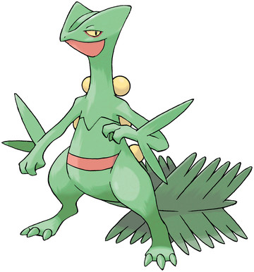 Sceptile Sugimori artwork