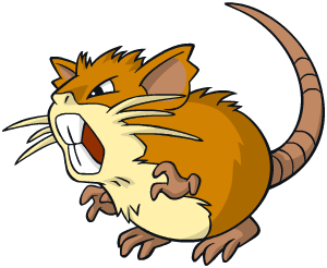 raticate.png