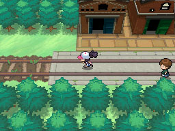 Old railway tracks, Pokémon Black & White