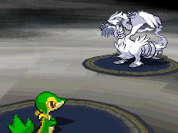 Reshiram battle, Pokémon Black & White