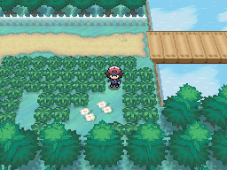 Summer scenery in Pokémon Black and White