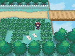 Pokémon Black & White - Version Changes - Area Changes