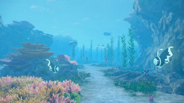 Underwater scene