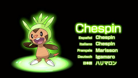 Chespin - Grass-type starter from Pokemon X&Y