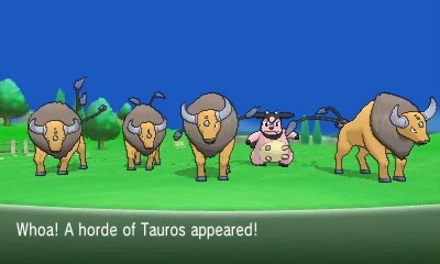 A horde of Tauros and Miltank appear