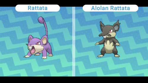 Alolan Rattata New Z Moves Revealed In Nintendo 3DS Direct Pok mon 