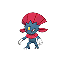 Weavile