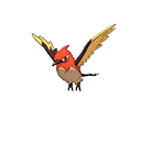 Fletchinder Shiny sprite from Bank