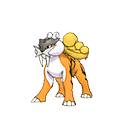 shiny raikou sprite