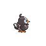 Starly Back sprite from Black & White