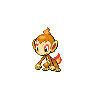 Pokemons sauvages Chimchar