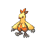 Combusken Shiny sprite from Black & White