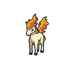 Ponyta