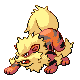 Arcanine