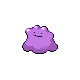 ditto.png