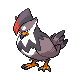 Staraptor  sprite from Diamond & Pearl