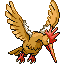 fearow.png