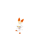 Scorbunny sprite from GO