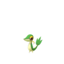 Snivy sprite from GO