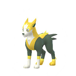 Boltund Pokémon GO sprite