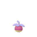 Bounsweet Shiny sprite from GO