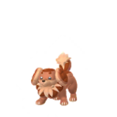 Dachsbun Shiny sprite from GO