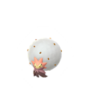 Eldegoss Shiny sprite from GO