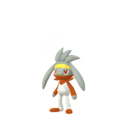 Raboot Shiny sprite from GO