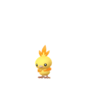 Torchic Shiny sprite from GO